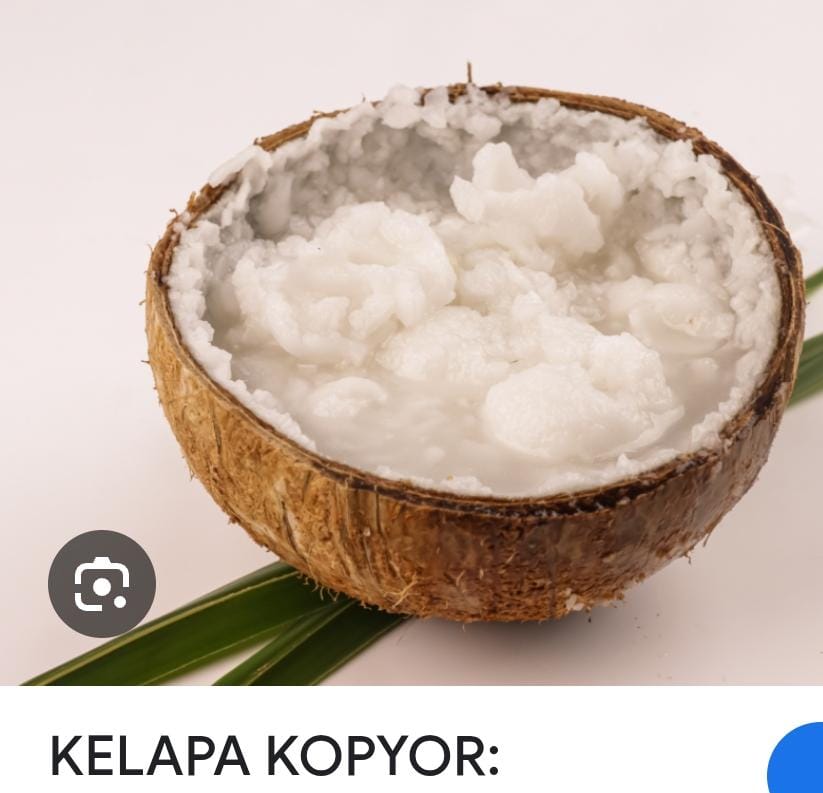 Kelapa Kopyor